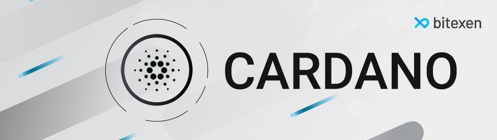 Cardano (ADA)-banner-image