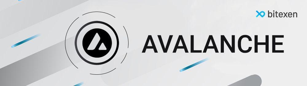 Avalanche (AVAX) -banner-image