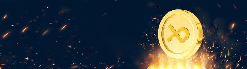 What Is Token Burning?-banner-image