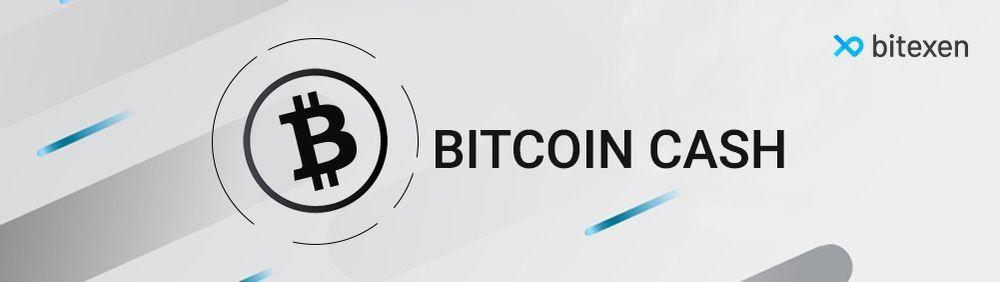 Bitcoin Cash (BCH)-banner-image