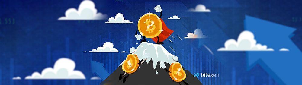What Is the Bitcoin Dominance Ratio?-banner-image