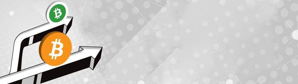 What Is a Fork?-banner-image
