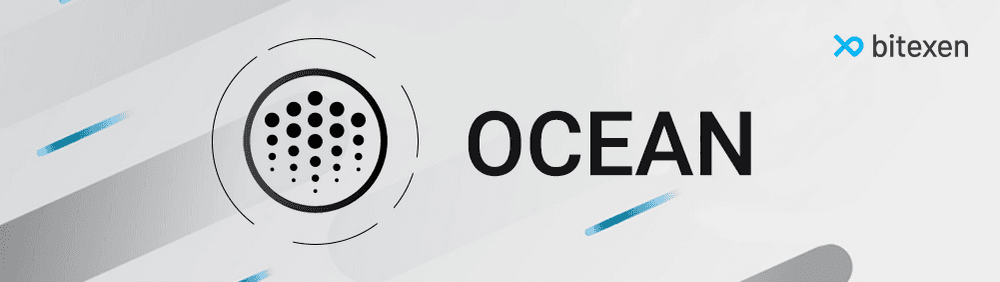What is Ocean Protocol (OCEAN)?-banner-image