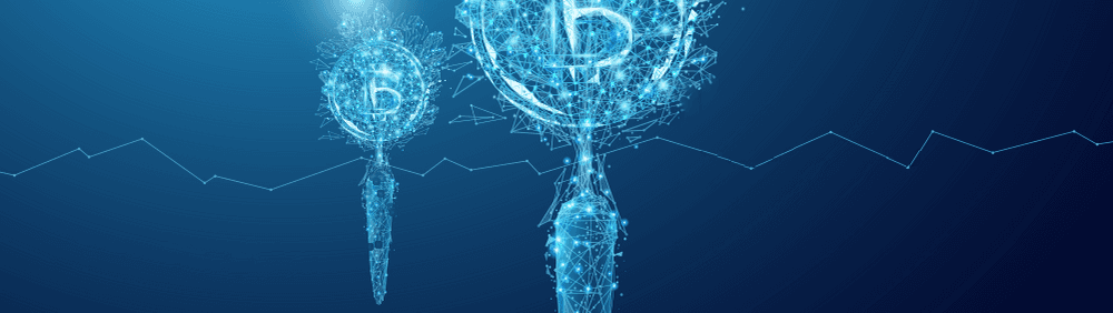 Bitcoin’s Taproot Upgrade Activated-banner-image