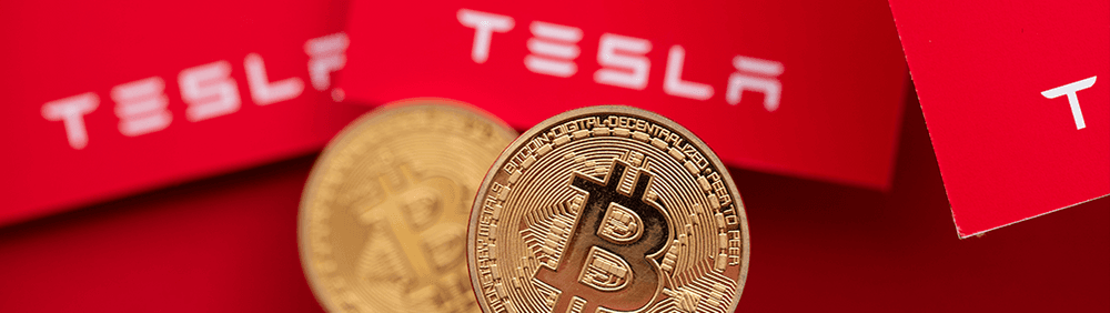 How Many Bitcoins Does Tesla Have?-banner-image